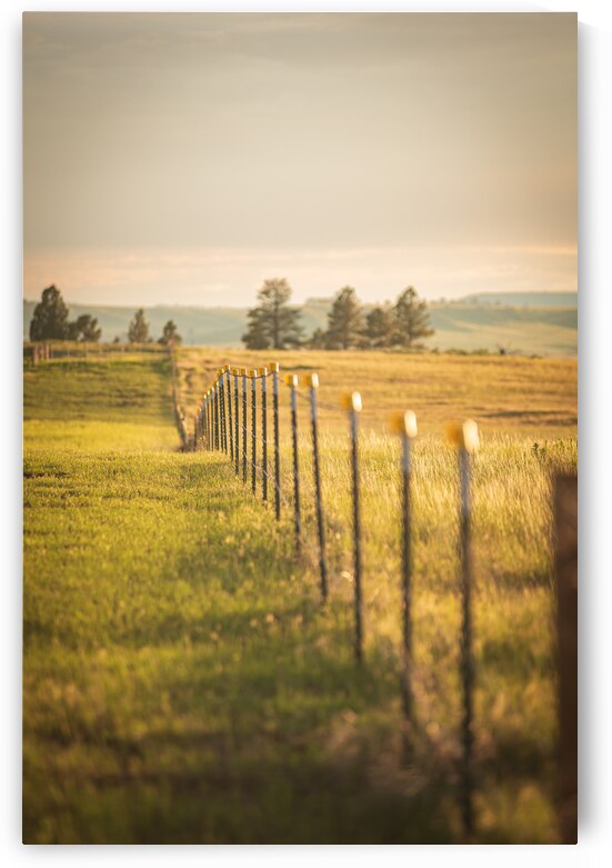 Montana Fenceline by Dream World Images