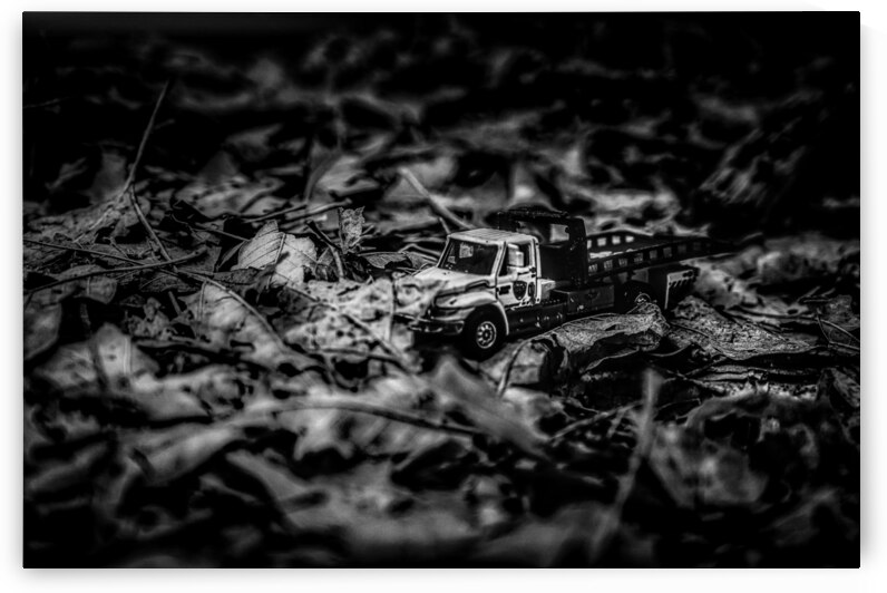 Discovery in the Woods: My Adventure with a Tiny Toy Truck by Dream World Images