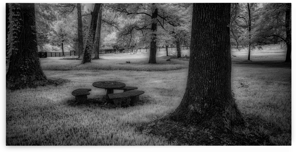 Colorless Picnic by Dream World Images