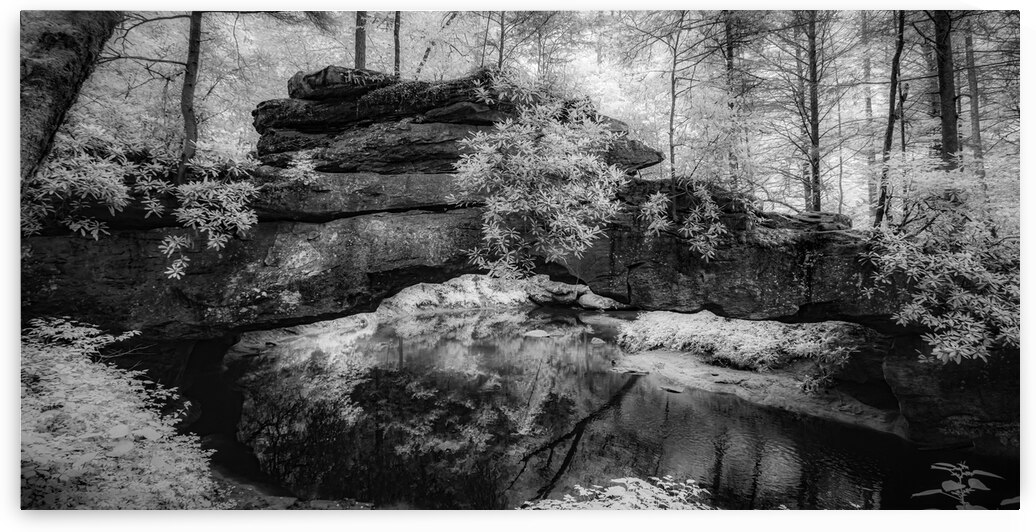 Rocky Tranquility: Natural Bridge Kentucky by Dream World Images