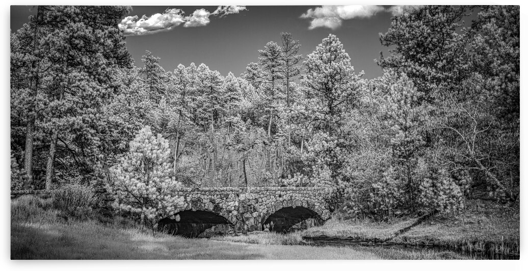Discovering Hidden Charms: Stone Archway Bridge Unveiled in Custer State Park by Dream World Images