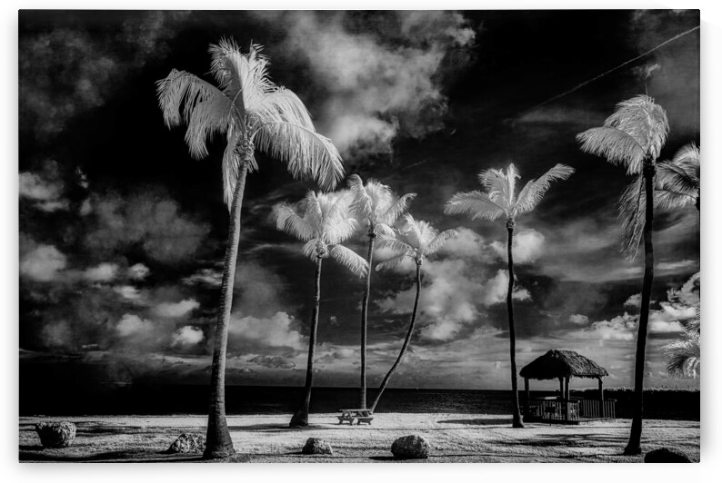 Tiki Picnic by Dream World Images