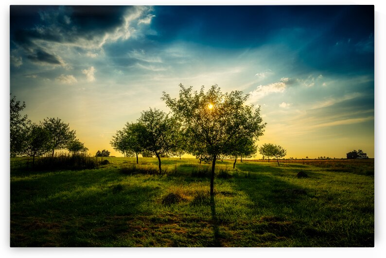 Golden Hour Symphony: Trostle Farms Enchanting Ambiance at Gettysburg National Military Park by Dream World Images