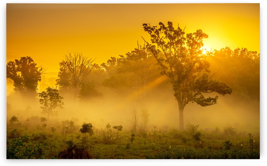 Misty Morning Glow: Dawn in Gettysburg by Dream World Images