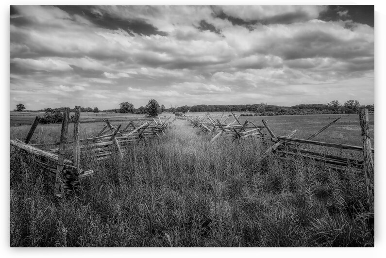 Pastoral Passage: Overgrown farm lane in Gettysburg by Dream World Images