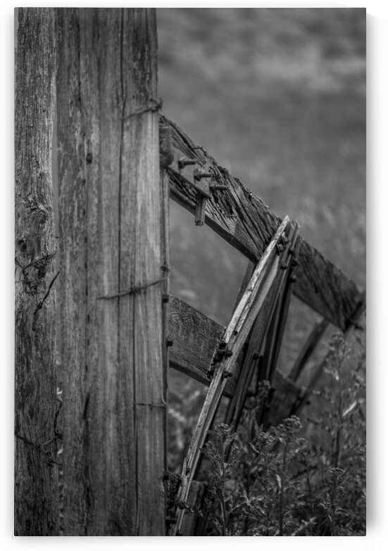 Weathered Gate by Dream World Images