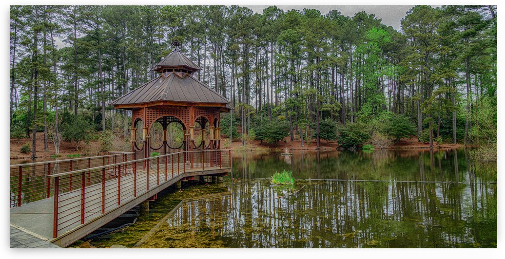 Pond Gazebo in Color by Dream World Images