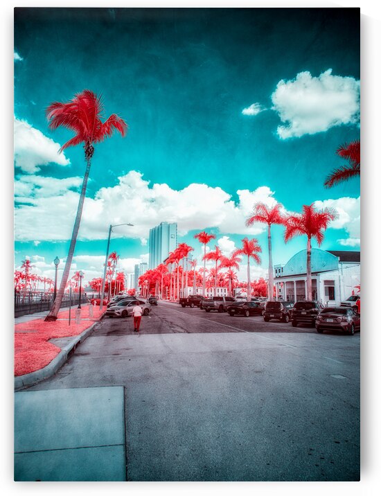 Urban Mirage: Fort Myers Street in Infrared Splendor by Dream World Images