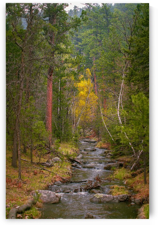 Autumnal Glow: Exploring Grace Coolidge Creeks Vibrant Palette  by Dream World Images