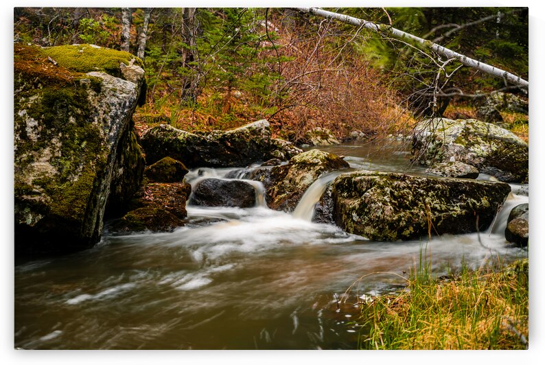 Enchanting Cascades: A Hikers Discovery Along Grace Coolidge Creek by Dream World Images