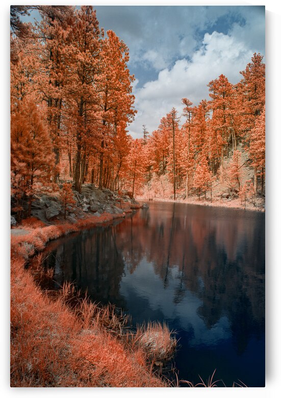 Whispers of Nature: Unveiling the Mystique Along Grace Coolidge Creek by Dream World Images