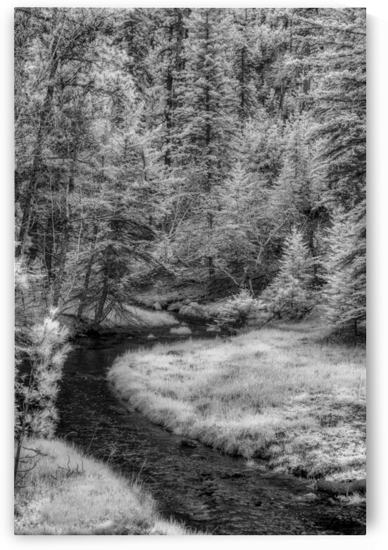 Monochrome Serenity: A Tranquil Stroll Along Grace Coolidge Creeks Black and White Infrared Stream in South Dakota by Dream World Images