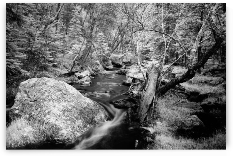 Monochromatic Serenity: Exploring Grace Coolidge Creek in Custer by Dream World Images