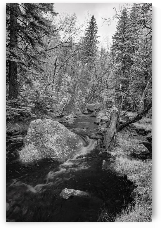 Monochromatic Serenity: Exploring Grace Coolidge Creek in Custer - Tall by Dream World Images