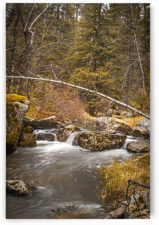 Enchanting Cascades: A Hikers Discovery Along Grace Coolidge Creek by Dream World Images
