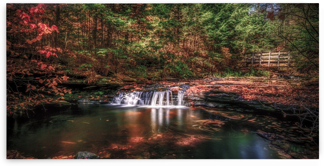 Autumn Symphony: A Serene Day at Ricketts Glen State Park Penns by Dream World Images