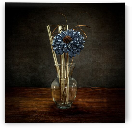 Aquatic Blossom: Blue Flower in Clear Vase with Reeds by Dream World Images