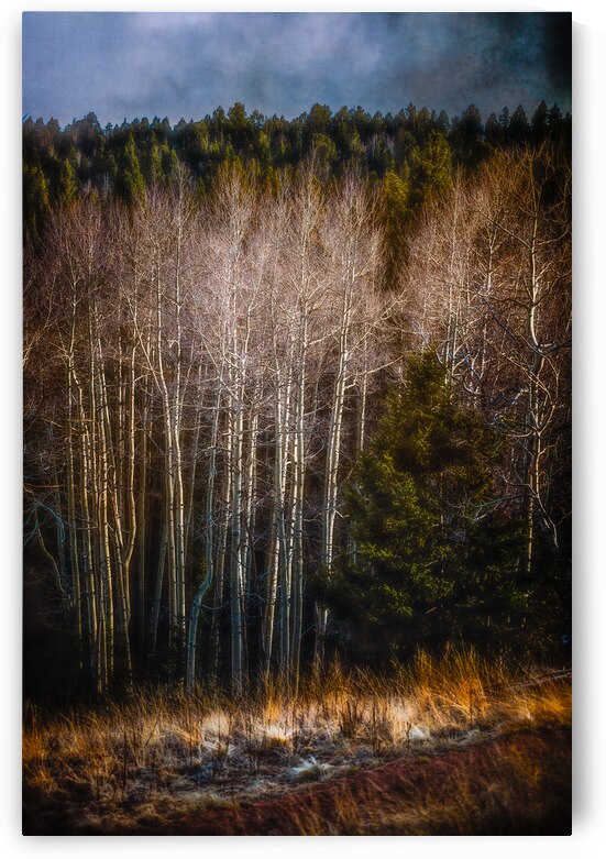 Mueller Aspen Series: Whispers of Fall by Dream World Images
