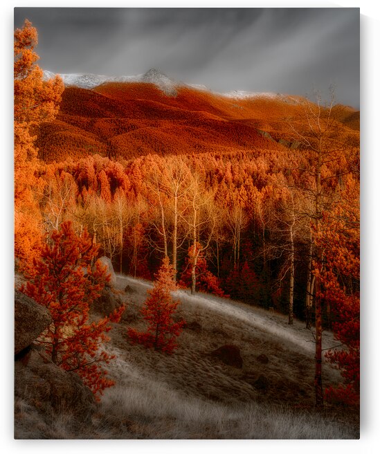Mueller Aspen Series: Autumns Palette by Dream World Images