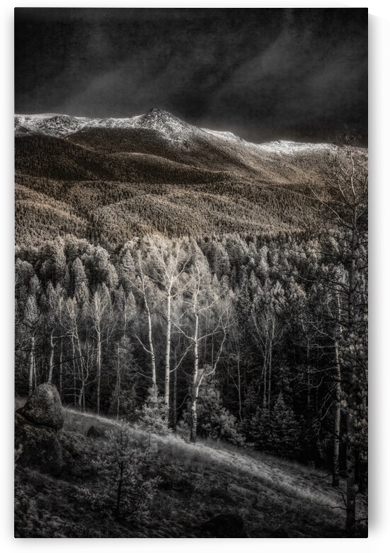 Mueller Aspen Series: Hillside Tranquility by Dream World Images