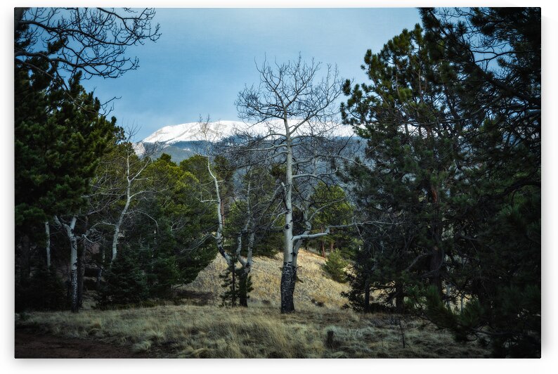 Mueller Aspen Series: Aspen Mountain by Dream World Images