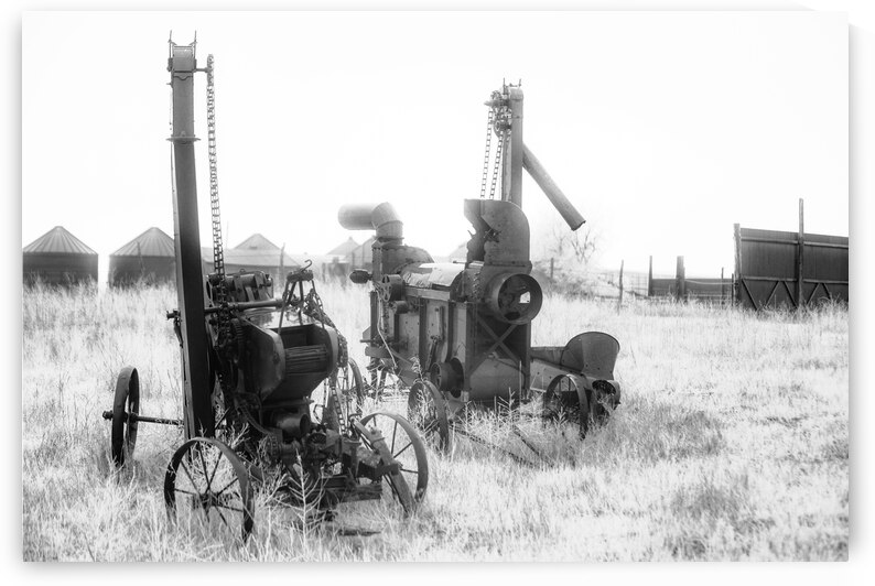 Rustic Relic - Harvest Twins by Dream World Images