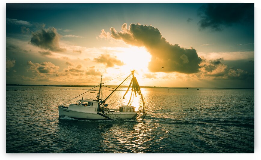 Whimsical Waves: A Visual Odyssey of Beauforts Coastal Charms by Dream World Images