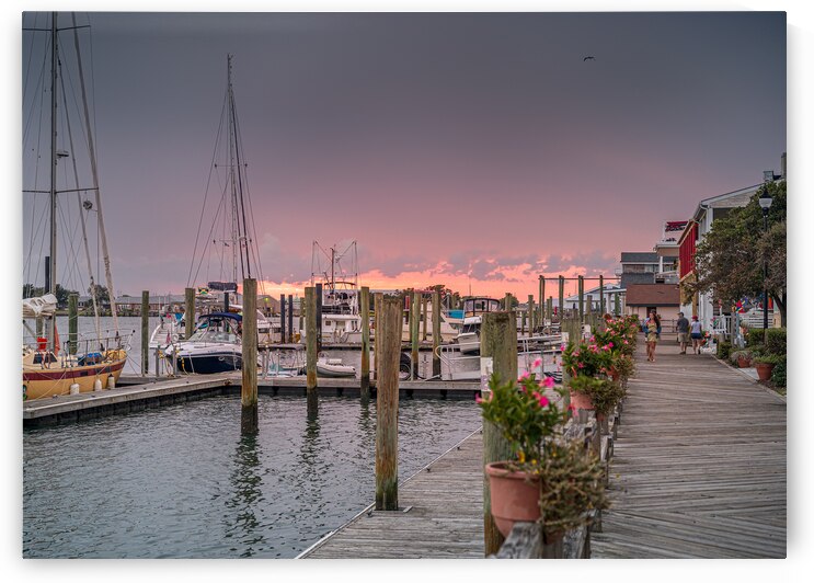 Harbor Harmony: Scenes of Tranquility in Beaufort North Carolin by Dream World Images