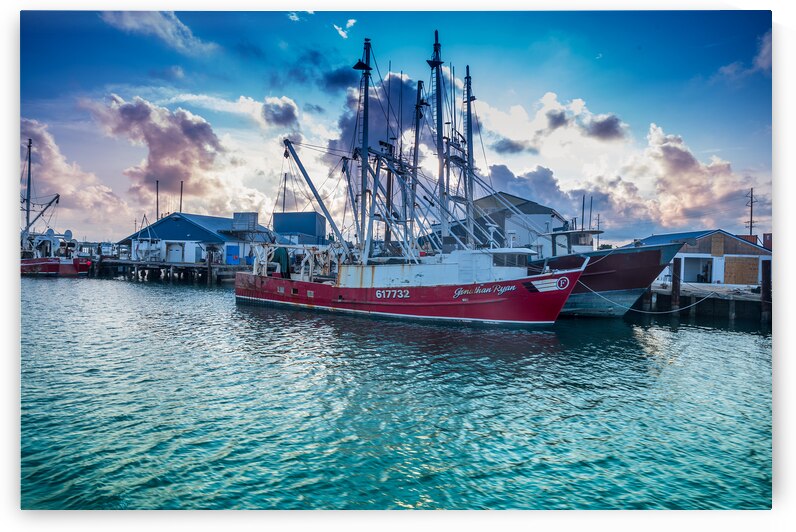Shrimpers Rest: A Dockside Tale of a Coastal Catcher by Dream World Images