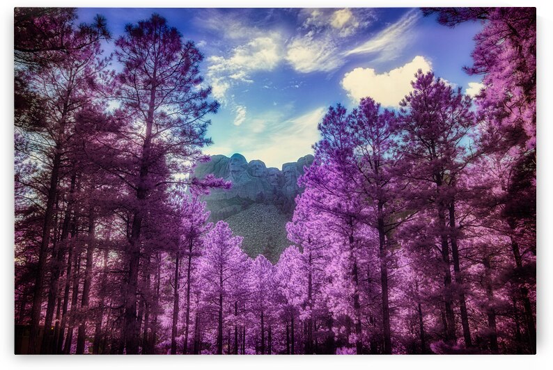 Mount Rushmore Purple Majesty: Infrared Beauty Amidst the Trees by Dream World Images
