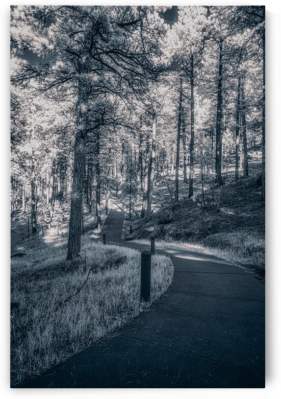 Mount Rushmore: Path Below the Monument in Infrared Magic by Dream World Images