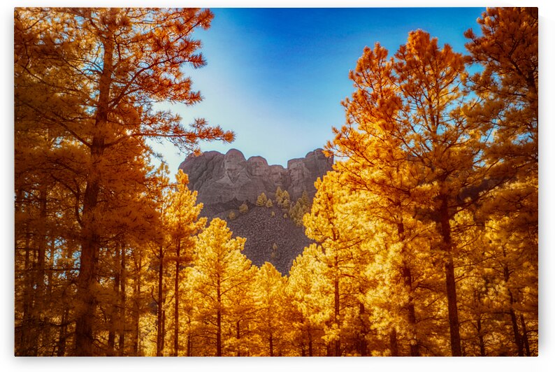 Mount Rushmore Yellow Glow: Infrared Beauty Amidst the Trees by Dream World Images