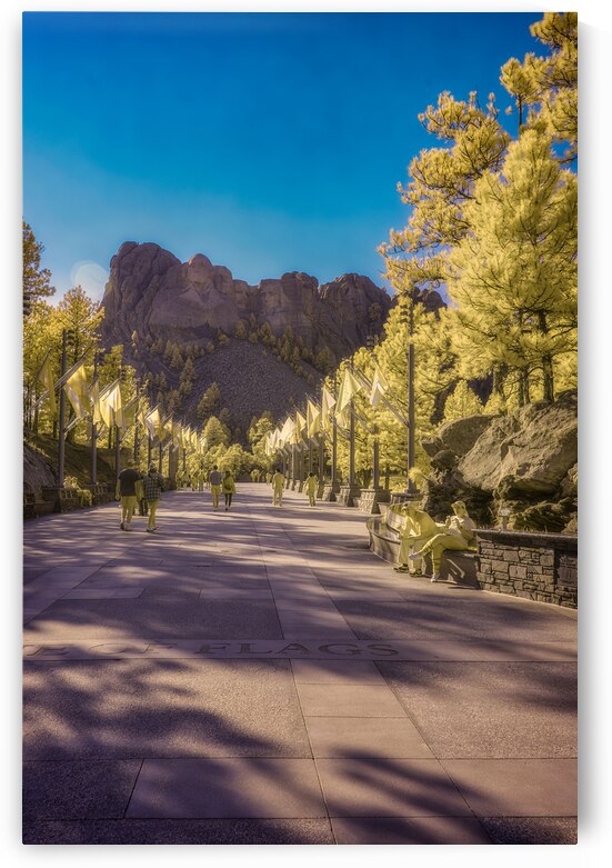 State Flags Row: Infrared Gaze at Mount Rushmore by Dream World Images