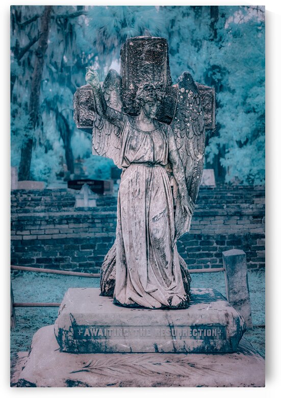 Rainy Day Reflections: Exploring Oak Grove Cemeterys Angel Memo by Dream World Images
