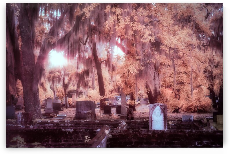 Springtime Serenity: A Moody Sunset at Oak Grove Cemetery in Sai by Dream World Images