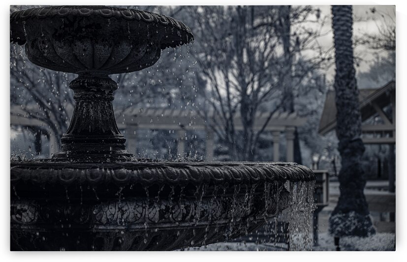 Rainy Day Wonders: Fountain Frozen in time in Saint Marys Georg by Dream World Images