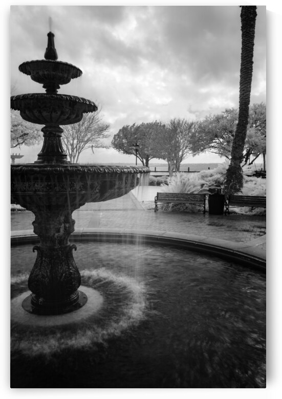 Monochromatic Elegance: Rainy Day Reverie at the Fountain in Saint Marys Georgia by Dream World Images