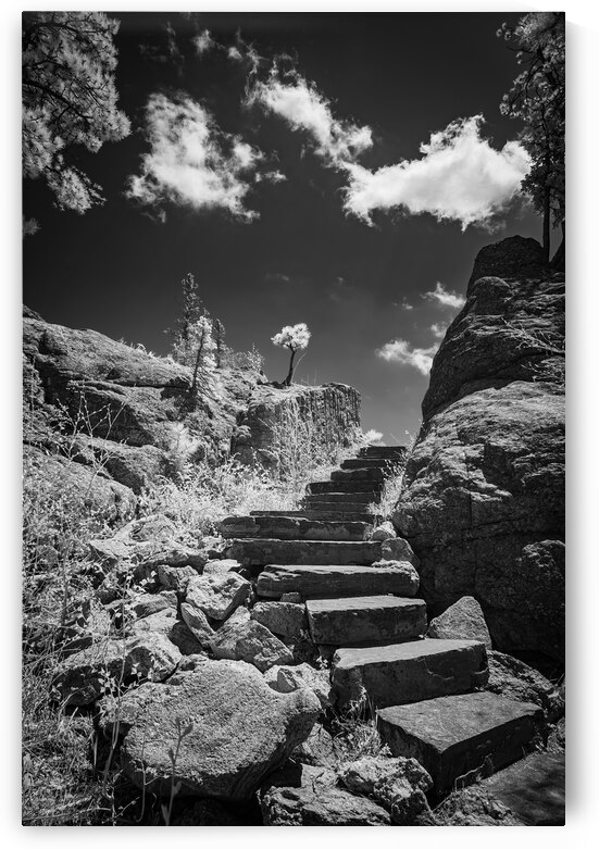 Stairway to Tranquility: Black and White Stairway in Sylvan Lake by Dream World Images