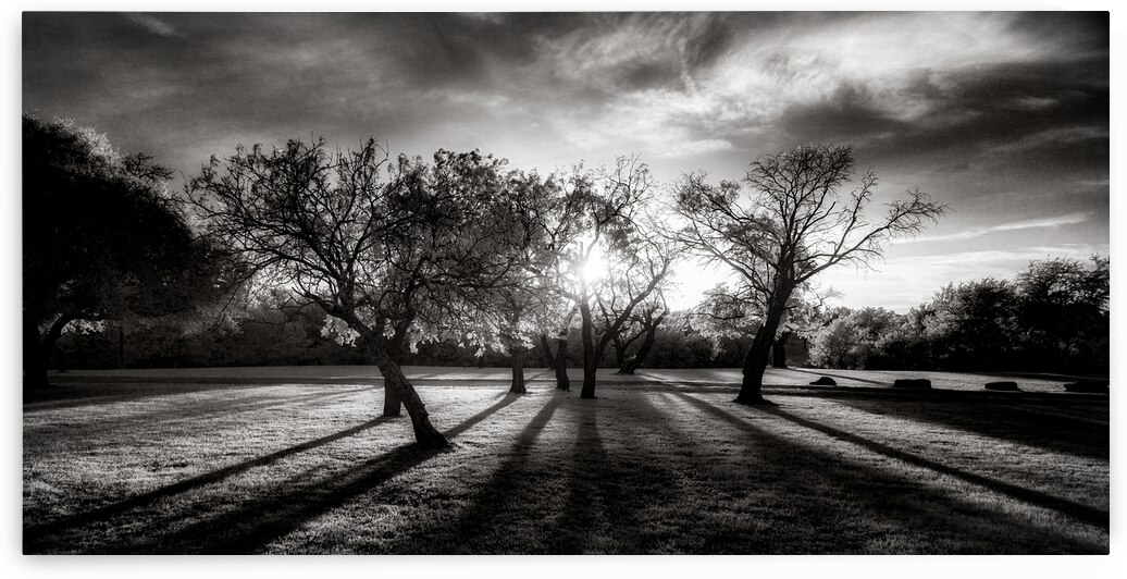 Twilight Stroll: Capturing Long Texas Shadows by Dream World Images