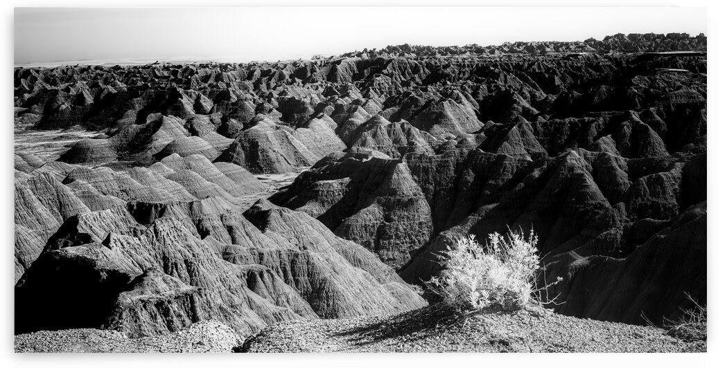 Shadows of the Earth: Tuft on the Edge by Dream World Images