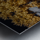 Vibrant Sentinel Metal print