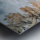 Westward Dreams: Pioneer Paths Metal print