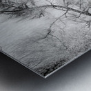 Rustic Relic - Farm Giraffe Metal print