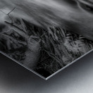 Flowing Elegance Metal print