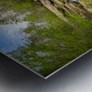 Forest Falls - Chau Ram Impression metal