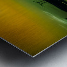 Green Flash Metal print