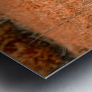 Rustic Relic   Tonka Dream Metal print