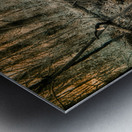 Ghostly Flow: Exploring Gettysburgs Bloody Run in Infrared Metal print