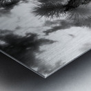 Reaching for the Storms Canopy Metal print