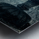 Rainy Day Wonders: Fountain Frozen in time in Saint Marys Georgia Metal print